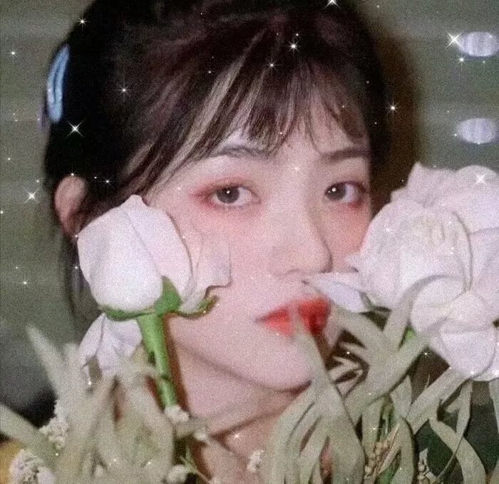 女神(2017年电影)